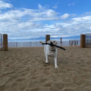 Meet your Posher, Jackie